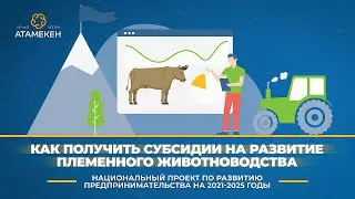 How to obtain subsidies for livestock breeding development