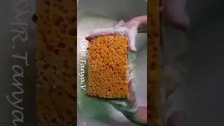ASMR Sponge Squeezing #satisfyingspongesqueezing #asmrspongesqueezing