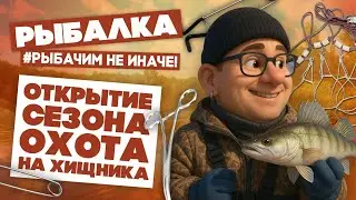 На что ловить судака в марте? Проверено на себе | Весенний джиг и рабочие цвета для силикона