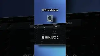 Copy these settings! Serum Melodic Techno Lead 🔥
