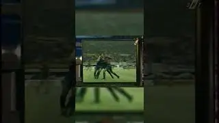 Заставка Лиги чемпионов 1995/1996