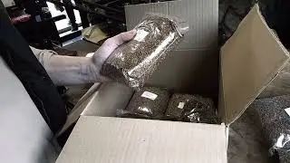 Сталик 34 - Тайланд Берли.
