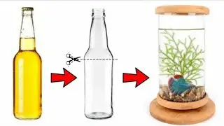 How to make a aquarium from glass bottle at home