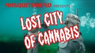 Mosquitohead - Lost City of Cannabis