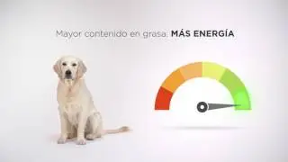 Video promocional de producto
