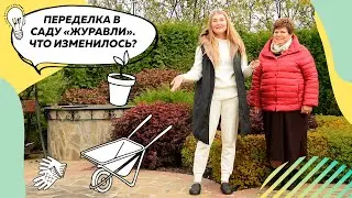 Обзор сада Журавли осенью | Малоуходный сад | Изменения в саду | Пузыреплодники | 