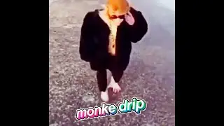 monke drip 2 - calabasas (bonus) 