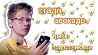 Стадо авокадо|песня с подписчиками| Коваленко трунь нарезки