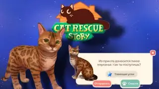КОШАЧЬЯ РУТИНА➣CAT RESCUE STORY ➤ 7