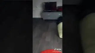 Самое смешное из ТикТока (@navrocky.sergey)