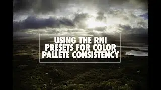 Using the RNI Presets for Color Pallet Consistency