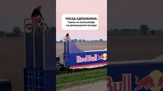 Коллаборация RED BULL, Prada и Давида Годзека на 73 миллиона просмотров.