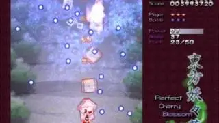 Perfect Cherry Blossom Part 1 (and toast)