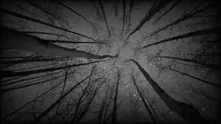 New Untitled Music