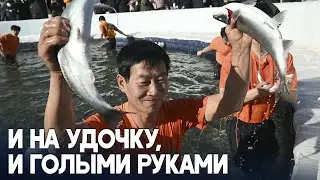 Десятки тысяч туристов съехались на фестиваль горной форели в Южной Корее