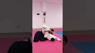 Броски и контроли / Олег Деев Сенсей / Айкидо в Одессе