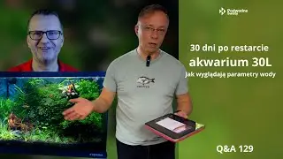 Q&A 129. 30 dni po restarcie akwarium 30L. Jak wyglądają parametry wody?