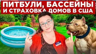 ЗАКОНЫ В США🗽 СТРАХОВЫЕ КОМПАНИИ💲 ПРОТИВ ПИТУБЛЕЙ? ЖАРЕНАЯ ИНФА И ТУР НОВОГО ДОМА🏠👍