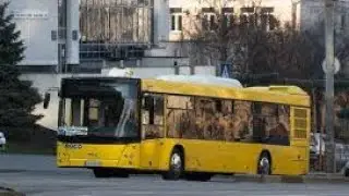 Поездка на МАЗ 203 по 95 маршруту