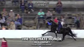 THE ULTIMATE HONOR - 2023 FUN SHOW
