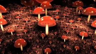 Atma - Live Set