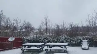 Snow day gun shots