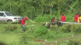 JOKI KUDA BERJATUHAN - DI KELAS PEMULA LOKAL
