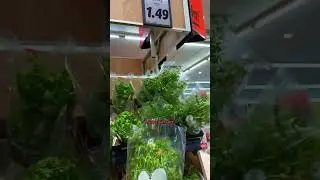 Почему словаки не покупают импортный товар? 