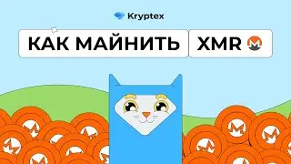 How to Mine Monero (Windows, Hive OS)