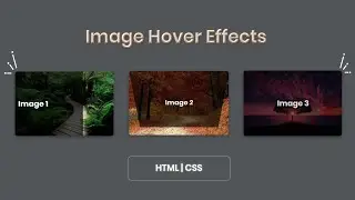 Image Hover Effects | HTML | CSS