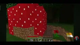 Minecraft the smile cat 