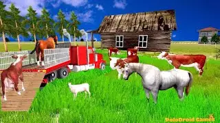 Pet Animal Transport Truck Real Driving 3D Simulator - Best Android iOS GamePlay
