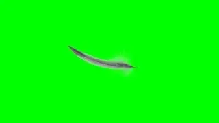 Falling Feather Green Screen Stock Video