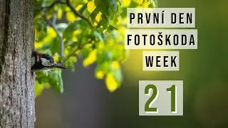 VLOG 21/30 - První den FotoŠkoda WEEK