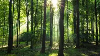 Fotoausstellung „30 Jahre Nationalparke in MV - Eine Hommage an die wilde Schönheit unserer Natur