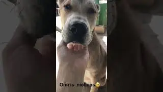 Как вам результат?  #яхудожникятаквижу #холст #акрил #художник #картины #рисунки #art #artist