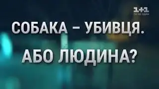 Боярка. Собака вбивця чи людина? Спецвипуск ГРОШІ