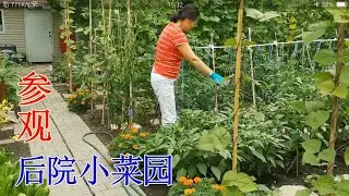 Please visit my small vegetable garden in the backyard