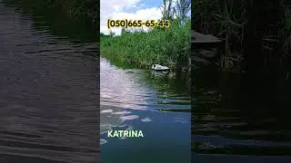KATRINA на ВОДОМЁТЕ