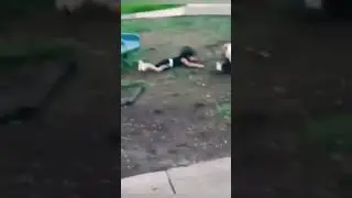 Ржака #приколы