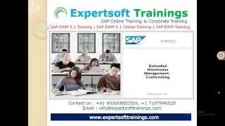SAP EWM Training | SAP EWM 9.0 Training | SAP EWM 9.1 Training