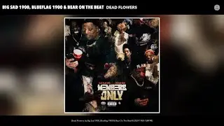 Big Sad 1900, Blueflag 1900 & Bear On The Beat - Dead Flowers (Official Audio)
