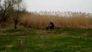 24 апреля 2017 г.