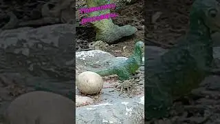 #ДинопаркВоронеж