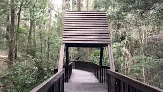 Walking Australia: Lagoon Walk - Maroochy Regional Bushland Botanic Garden
