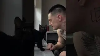 Lucifer 🐈‍⬛