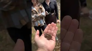 Finding Every Creature in Texas