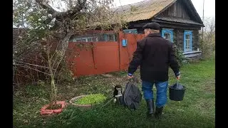 Фильм Дмитрия Д. 