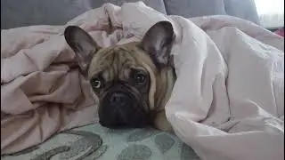 мы поднимаем.