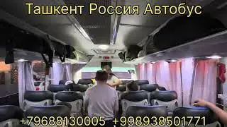 караганда россия автобус
